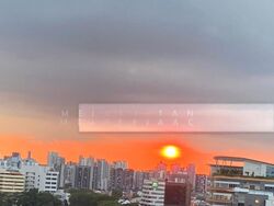 Sky Green (D13), Condominium #501880391